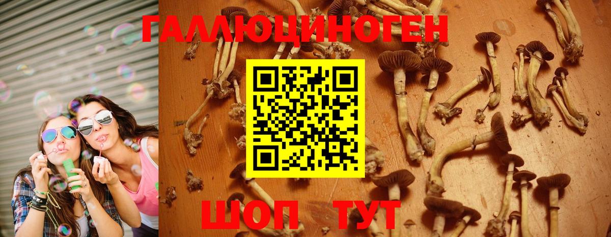 Лабытнанги  Галлюциногенные грибы мицелий  Вход с VPN 