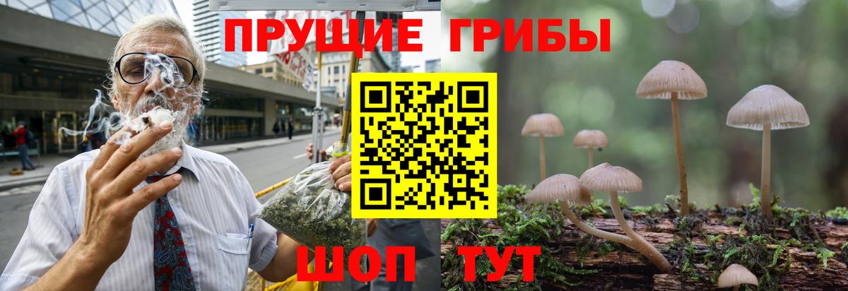 Галлюциногенные грибы прущие грибы Лабытнанги